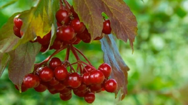 СИЛЬНЕЙШАЯ МОЛИТВА ОТ ПОРЧИ