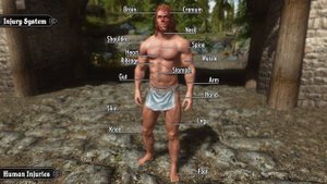 Skyrim Mod: Wildcat - Combat of Skyrim