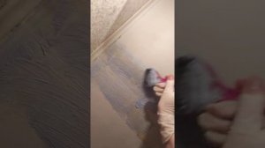 удаление желтых пятен на потолке, после затопа.