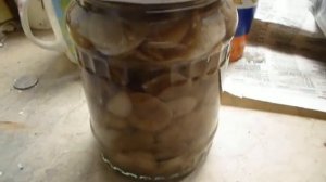 Домашние  заготовки