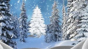 Футаж Зимний лес 1