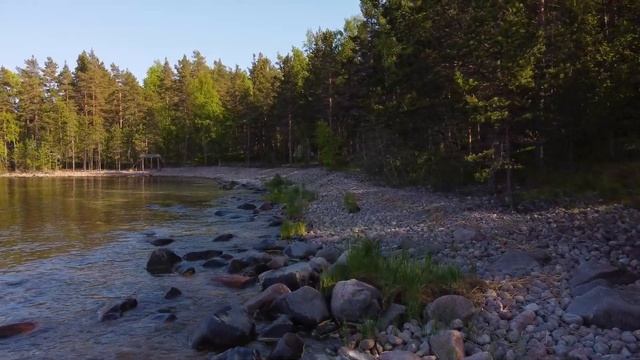 Большая Ладожская тропа | Залив Лехмалахти | Ладожское озеро | Travel in Russia | Drone flight