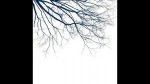 Sunbyonic - The Sleeping Tree