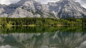 Be Still The Earth. Evergreen