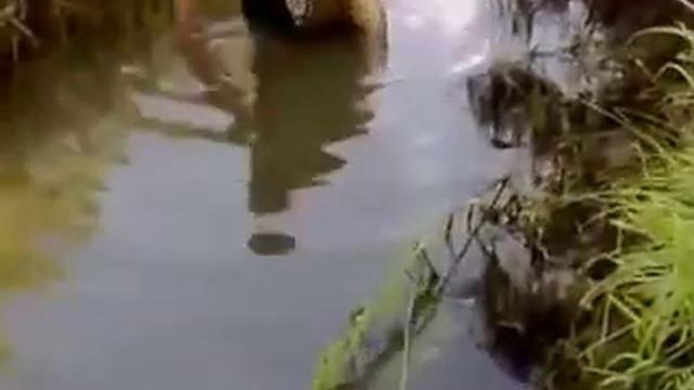 Бывает и такая рыбалка смотреть онлайн