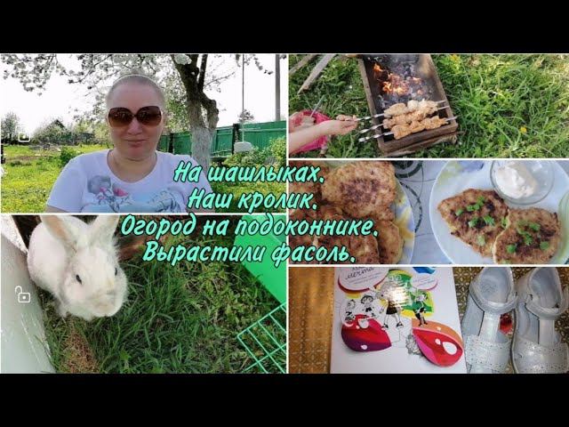 Отдыхаю.Шашлыки.Купили сандали.Отдаю детскую обувь.Оладьи из кабачков.Наш кролик.Вырастили фасоль