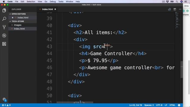 Full Stack Web Developer : 012 Working with images