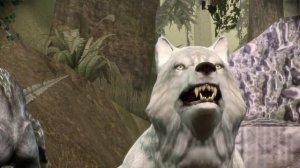 DRAGON AGE ORIGINS 4K GAMEPLAY - XBOX SERIES X -Nature of the Beast -LOWER RUINS -EVIL PLAYTHROUGH