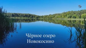 Рыбалка, Чёрное Озеро Новокосино, Маховая удочка, Насадка червь, ловля карася. Fishing (1)