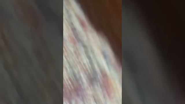 Муравьиная матка смотреть онлайн