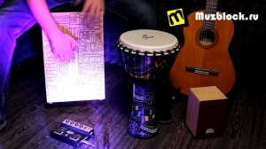 Обзор Roland EC-10M ELCajon Mic Processor