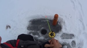 Первый лёд / Рыбалка на окуня Аргази 11/11/15