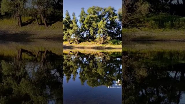 Река Омь