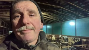 Про коз и племенных коров