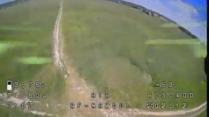 Широкие поля