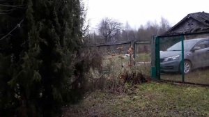 продаётся дом/ Нижегородская область/ дом в деревне