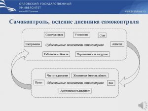 Самоконтроль и ведение дневника