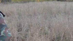 Особые знаки. Приметы охотников