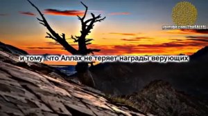 сура "аль имран 169-175" Мохаммад Аль Люхайдан