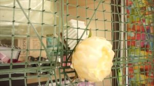 Сетка для цветочного панно с Китая алиэкспресс Твары с aliexpress декор свадьба дом