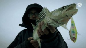 Рыбья поклёвочка