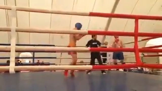 13649757 998209223607966 1893554031 n смотреть онлайн