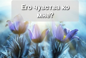Его чувства ко мне? Что он чувствует ко мне? Таро с эмпатией.