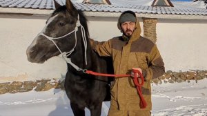 Веревочный недоуздок, почему именно им я пользуюсь?