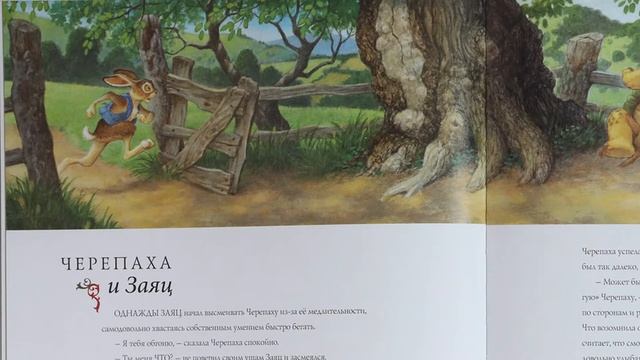 Черепаха и Заяц. Классические сказки на ночь. Иллюстрации Скотта Густафсона.