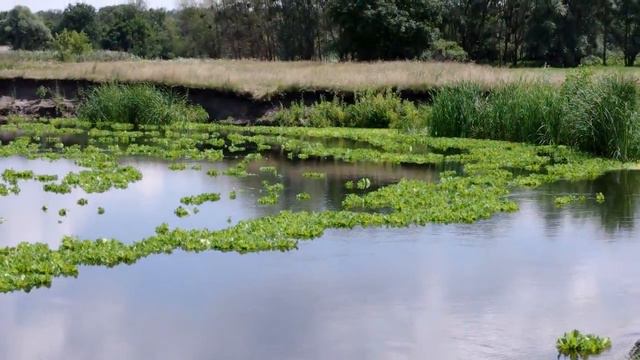 Рыбалка на северском донце видео смотреть онлайн