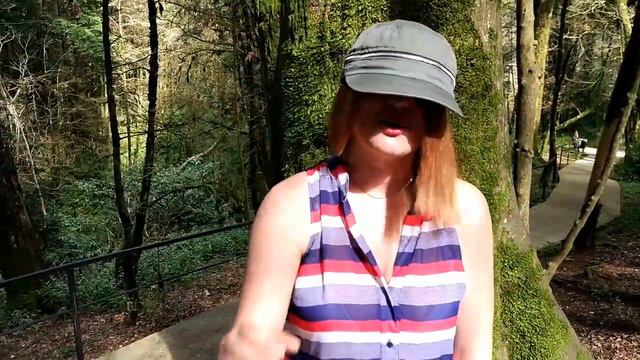 Чеширский Кот | заявка на #слововсургуте смотреть онлайн