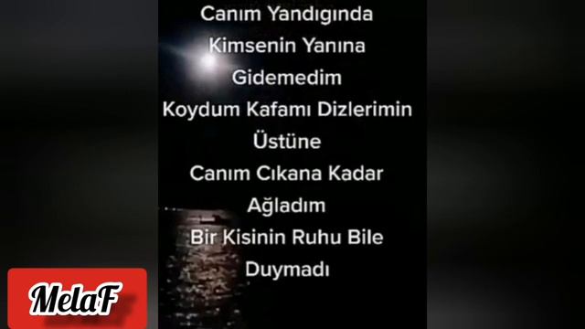 Erdem Kınay Ateş ( Kardeşlerim)