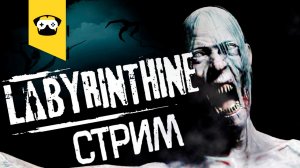 ?Labyrinthine - ДЕТЕКТИВНЫЙ ЛАБИРИНТ ИЛИ КАК ПОТЕРЯТЬ ДРУЗЕЙ В КУСТАХ?|  Stream  # 2?