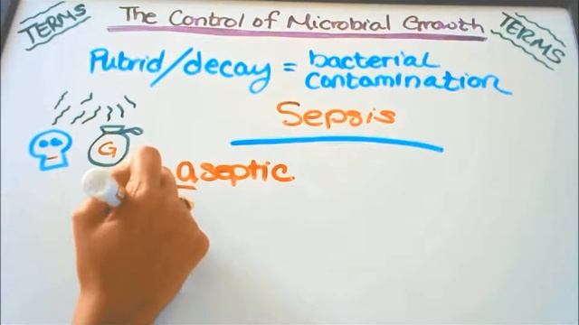 Control of Microbial Growth смотреть онлайн