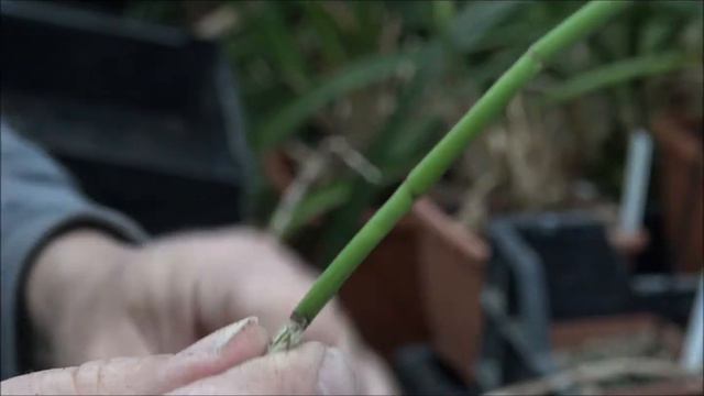 Thunia workshop смотреть онлайн