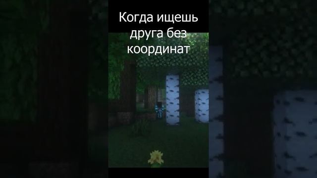 когда на сервере отключили координаты смотреть онлайн