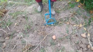 САМОДЕЛЬНАЯ ЧУДО ЛОПАТА ДЛЯ ВЫКАПЫВАНИЯ КАРТОФЕЛЯ
