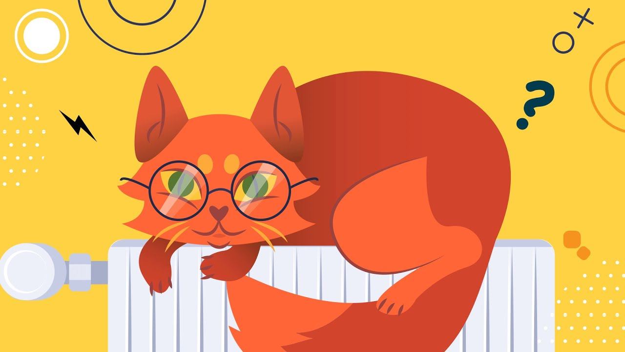КВИЗ: ИНТЕРЕСНЫЕ ФАКТЫ О КОШКАХ
