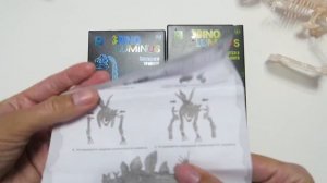 Конструктор - сборная люминесцентная модель скелета динозавра "3Dino Luminus", бренд 1Toy