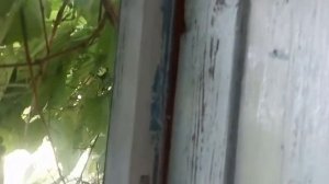ремонт деревянного окна