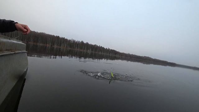Ловля щуки на воблер! Рыбалка в лесу! смотреть онлайн