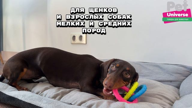 PU3066 Игрушка для собак Pet Universe Грейфер связка из 3-х колец смотреть онлайн