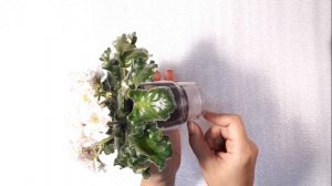 ФИАЛКА ЛЕ Злато Скифов