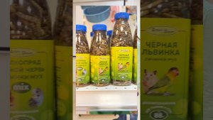 Корма для птиц и грызунов доступны для заказа @user-sl7wd9ef7g