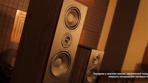 Акустические системы HECO Aurora