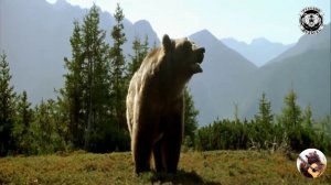 Гимн Медвежьего угла.  "Русская Рыбалка 4"  "Russian Fishing 4"