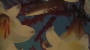 Капитан(Вспомни, капитан, жаркий летний наш роман,Страсти ураган бился под тельняшкой)наброски)