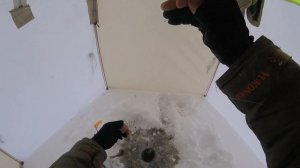 Зимняя рыбалка!Белоярское водохранилище,безмотылка-безнасадка