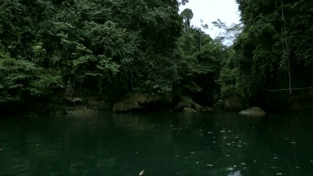 Wonderful West Java смотреть онлайн