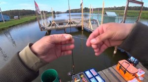 Выиграл приз! Ловля форели на магот.